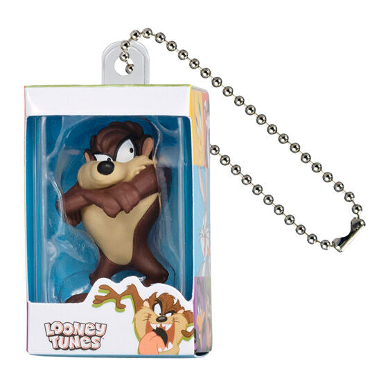 Looney Tunes Miniature Package Charm gashapon, boxed capsule and display card