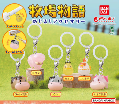 Harvest Moon Sign Accessories
