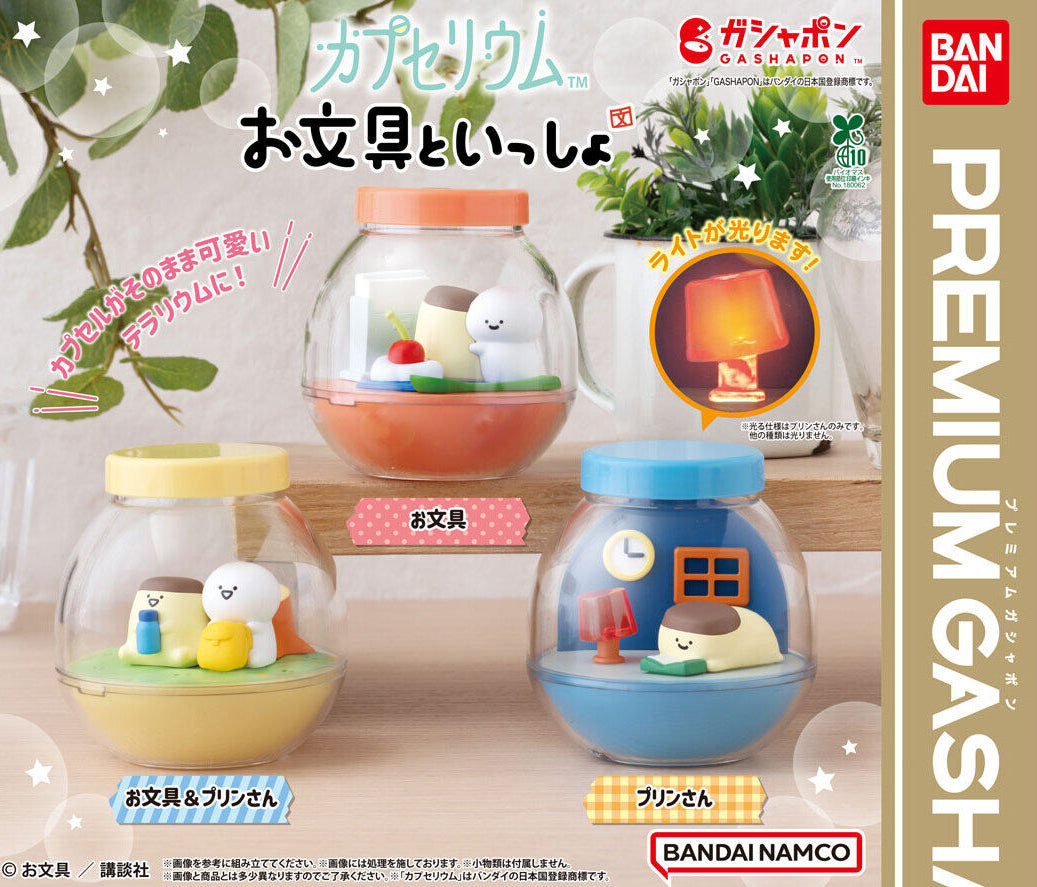 Capsuleum Stationery