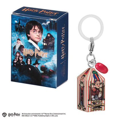 Harry Potter Mejirushi Accessory+ gashapon by Bandai, alternate angle of the assortment