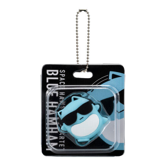 Blue Hamuhamu Miniature Package Charm gashapon, close-up detail of one design in the set