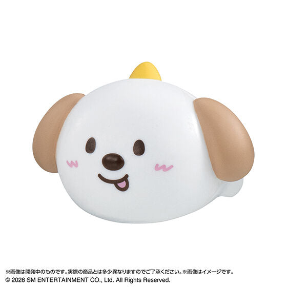 RIIZE Pukutto Ring capsule toy by Bandai, capsule packaging for the randomly selected ring