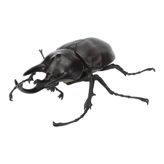 Actaeon elephant beetle figure - front view