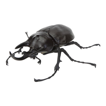 Actaeon elephant beetle figure - front view