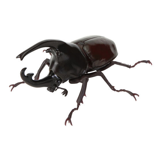 Ikimono Daizukan beetle figure - horn detail