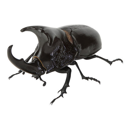 Ikimono Daizukan beetle figure - another species in the wave