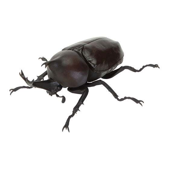 Ikimono Daizukan green flower beetle figure - colored detail