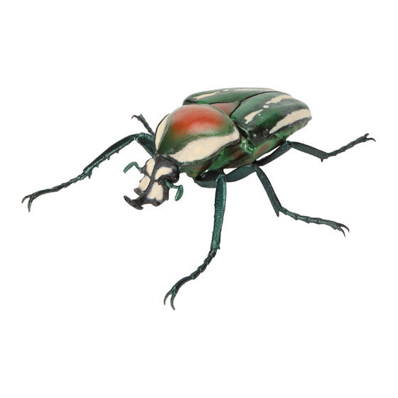 Ikimono Daizukan beetle figure - additional species