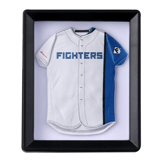NPB Uniform Frame Magnet Pacific League gashapon, one framed uniform