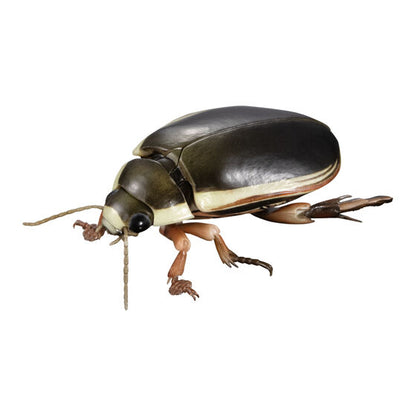 Great diving beetle figure - front view