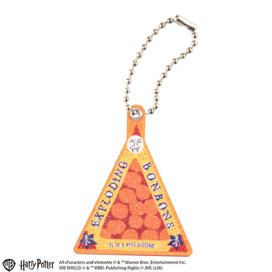 Harry Potter Acrylic Slide Mirror Collection, one design in the set shown with its ball chain
