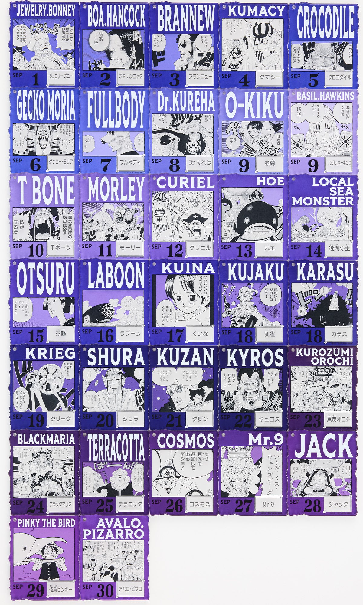 Ichiban Kuji ONE PIECE 366 Days of Birthdays