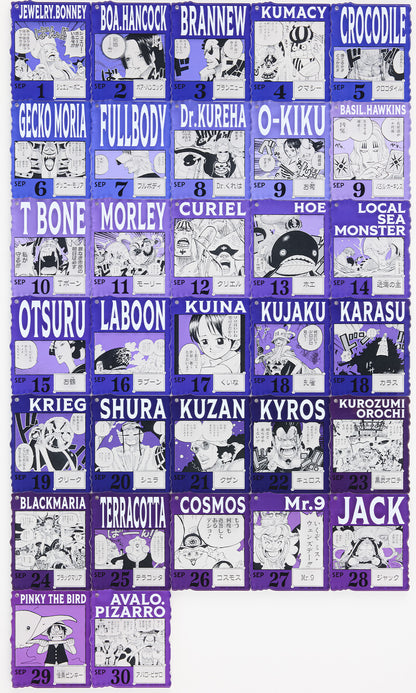 Ichiban Kuji ONE PIECE 366 Days of Birthdays