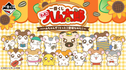 Hamtaro: “Hamutans Are Here!” 