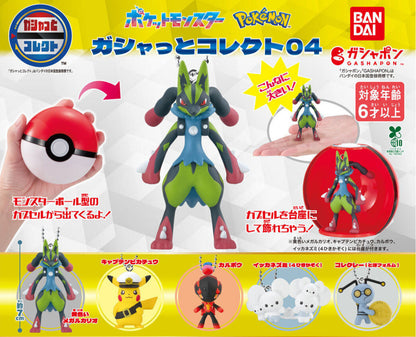 Pokémon Gashatto Collect 04