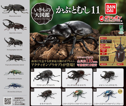 Ikimono Daizukan Beetle 11 figures - full lineup of all six species