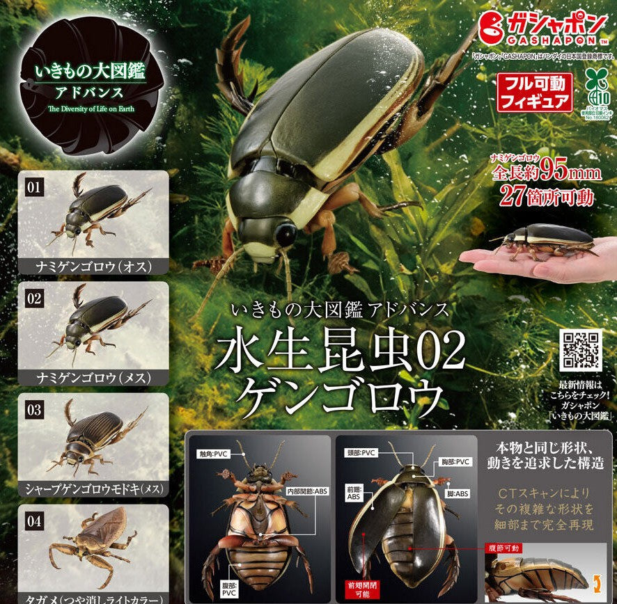 Ikimono Daizukan Advance diving beetle figures - full lineup of all four designs
